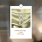 Lumière Earrings