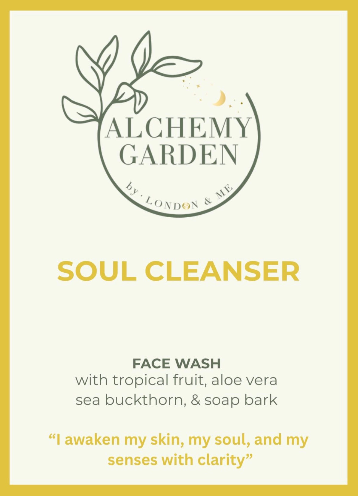 Soul Cleanser