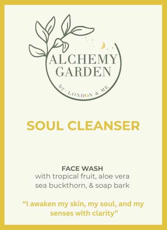 Soul Cleanser